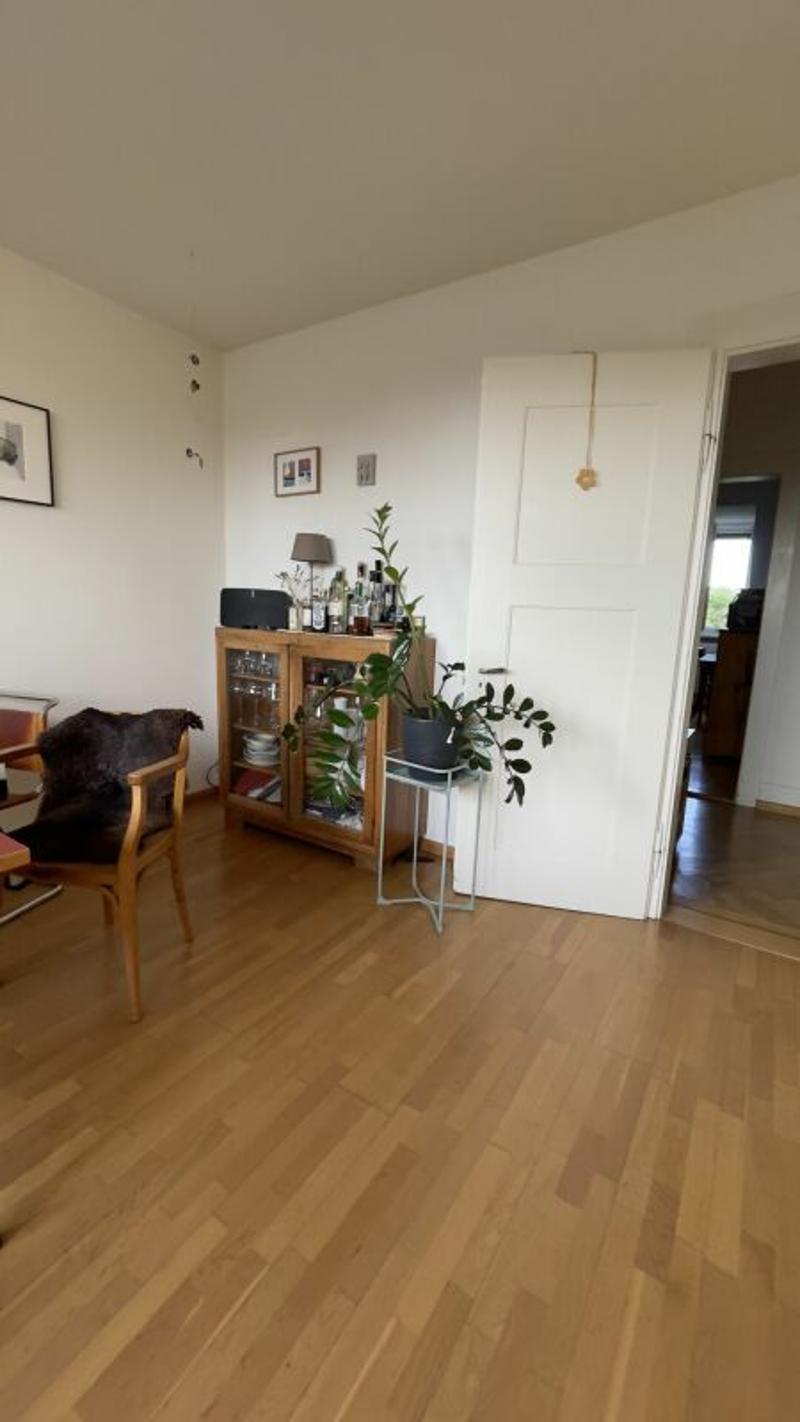 Charming old building apartment at Rütimeyerplatz (5)