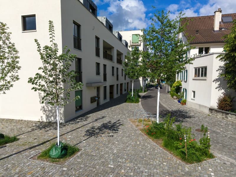 Appartement maisonnette moderne 4.5 pièces avec loggia et place de parking (16)