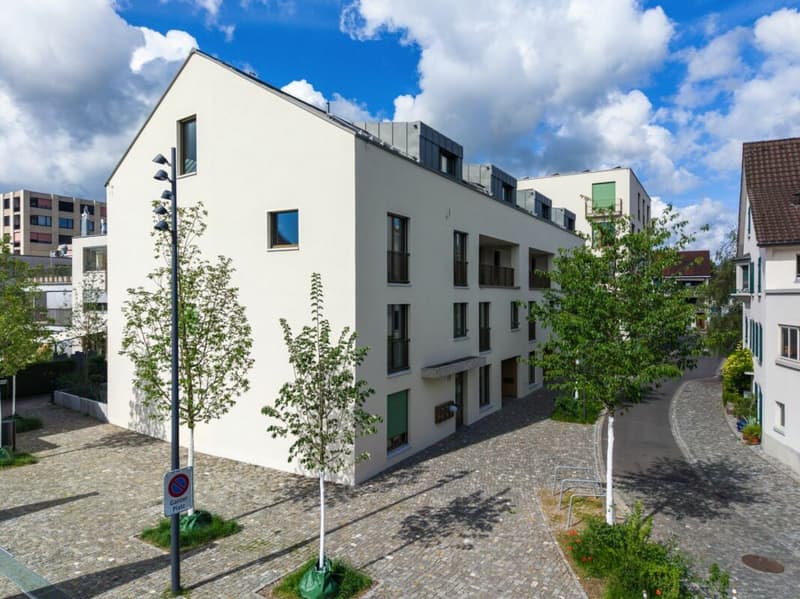 Appartement maisonnette moderne 4.5 pièces avec loggia et place de parking (15)