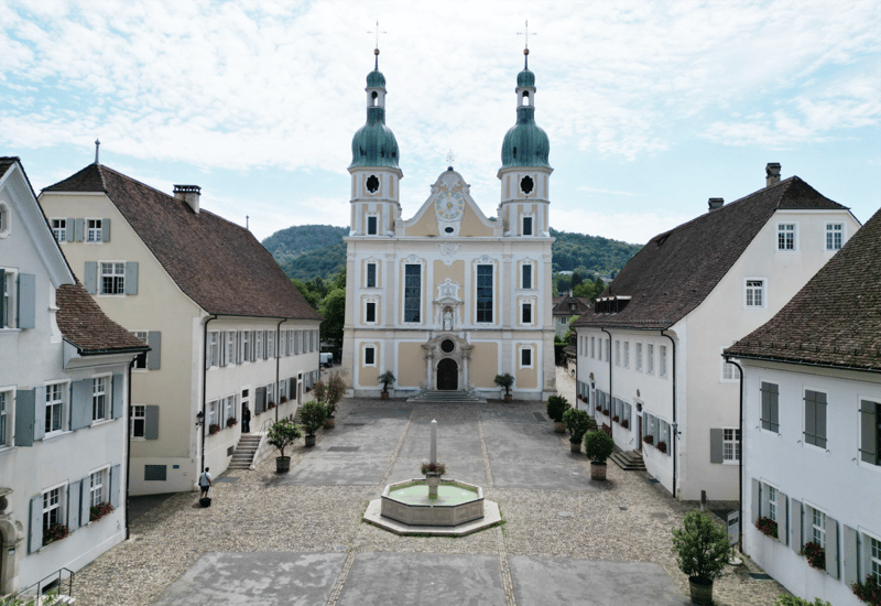 Appartamenti di proprietà eleganti da 2.5 a 5.5 locali ad Arlesheim (5)