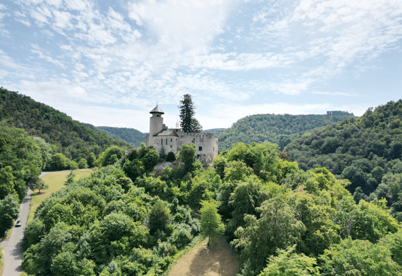 Appartamenti di proprietà eleganti vicino al centro del villaggio di Arlesheim (6)