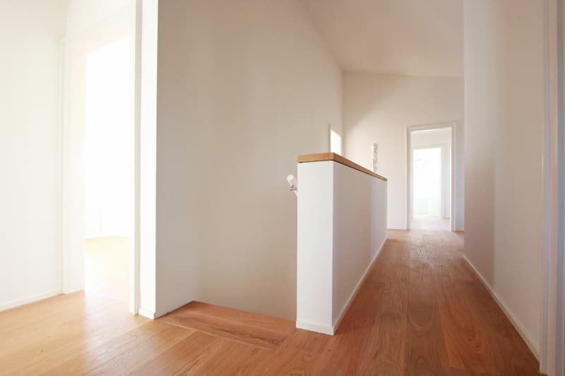 Attractive house on the beautiful Bruderholz / 7-room with pool and double garage (10)