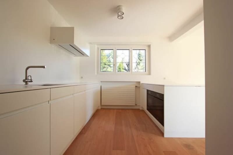 Attractive house on the beautiful Bruderholz / 7-room with pool and double garage (3)
