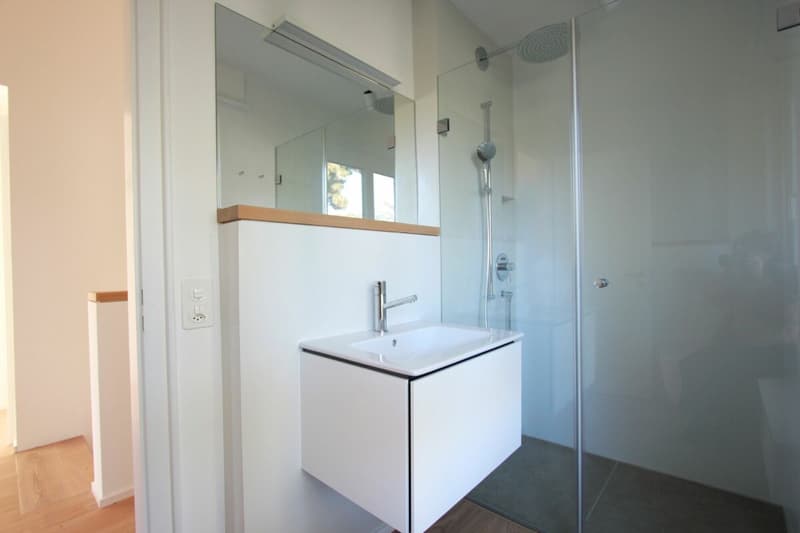 Attractive house on the beautiful Bruderholz / 7-room with pool and double garage (15)