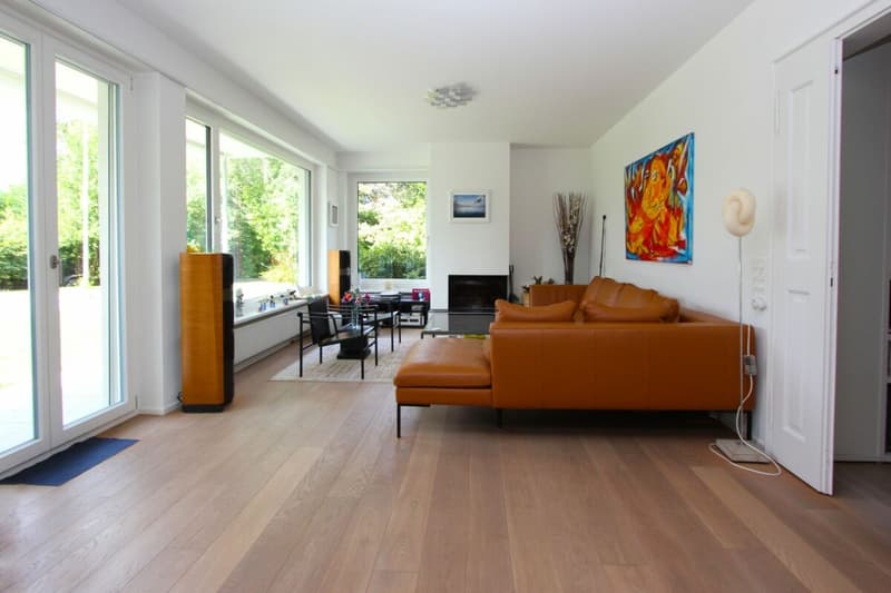 Attractive house on the beautiful Bruderholz / 7-room with pool and double garage (6)
