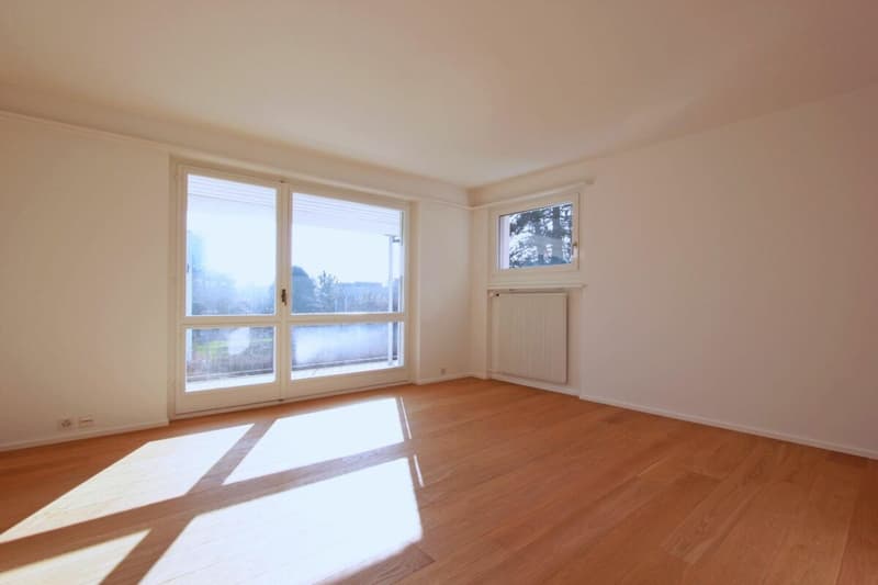 Attractive house on the beautiful Bruderholz / 7-room with pool and double garage (11)