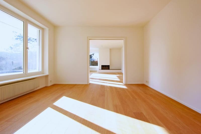 Attractive house on the beautiful Bruderholz / 7-room with pool and double garage (5)