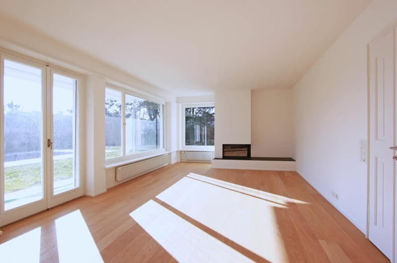 Attractive house on the beautiful Bruderholz / 7-room with pool and double garage (7)