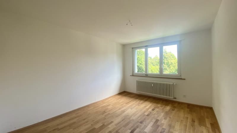 Zimmer