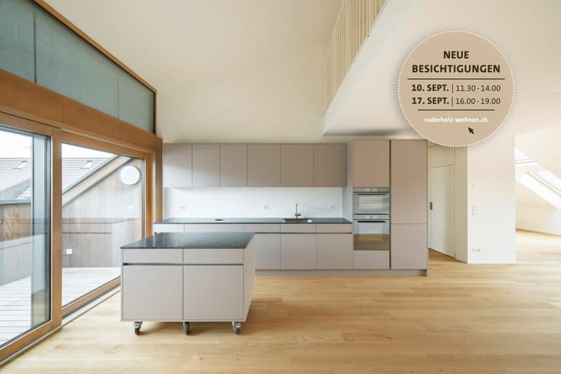 Exklusive 4½-Zimmer-Dachwohnung mit Galerie und zwei Dachterrassen (1)