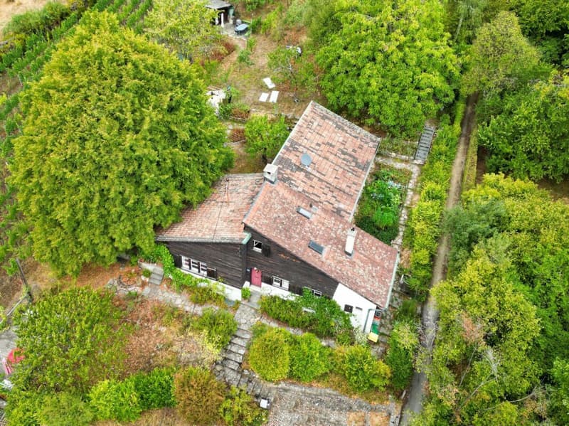 Haus "Im Schlipf" - Liebhaberobjekt umgeben von Weinreben (12)