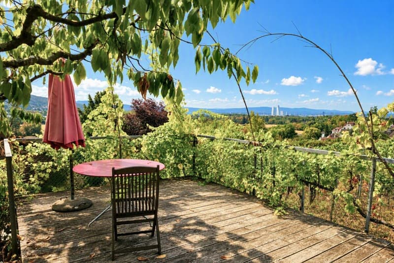 Sonnige Terrasse zwischen den Reben