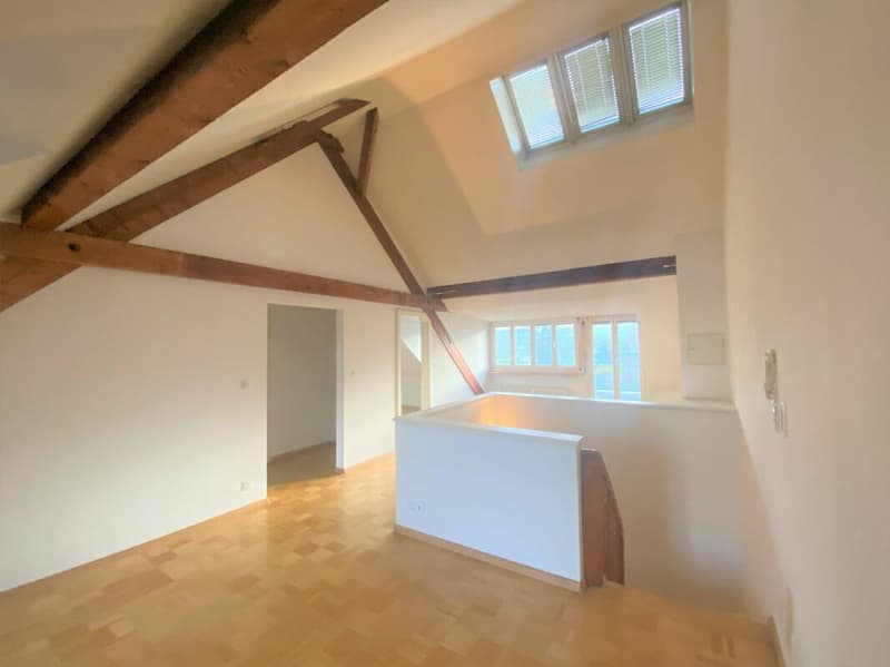 2.5 Zimmer-Dachwohnung im charmanten Baumgartnerhaus in Basel (2)
