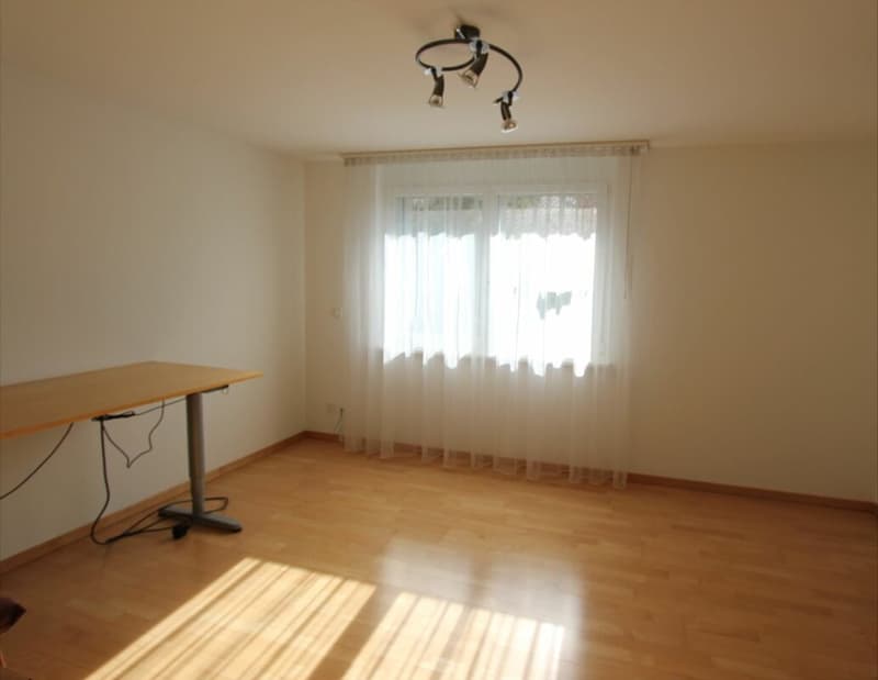Modernes 5.5-Zimmer-Einfamilienhaus mit Garten (8)