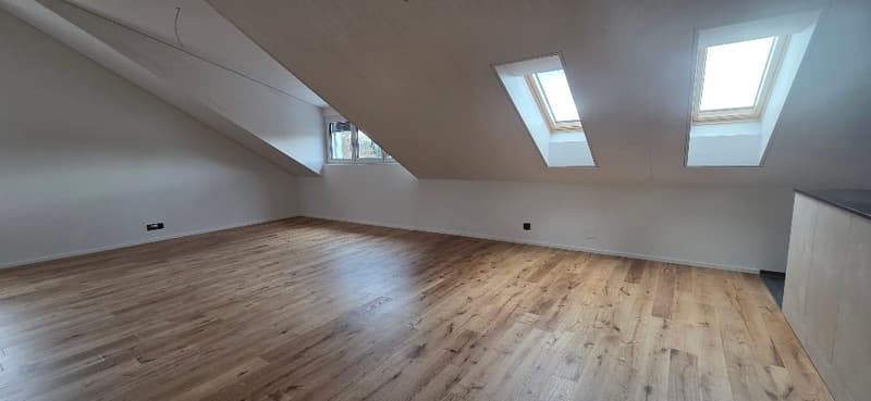 empty room, wooden floor, 3 skylights, power outlets