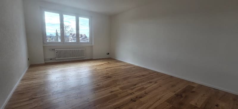 empty room, wooden floors, white walls, windows, heater