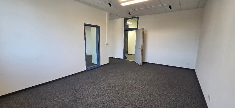 empty room, white walls, gray carpet, two doors, one open