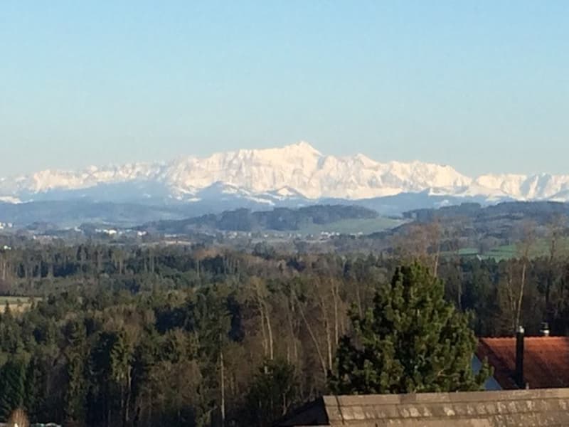 Grande terrasse sur le toit partiellement couverte avec vue sur le Säntis (2)