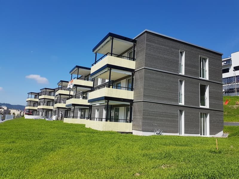 Moderne 2.5-Zimmer-Wohnung in Wülflingen mit Balkon (1)