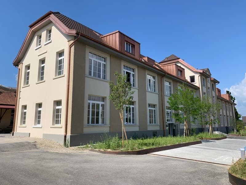 Bello appartamento loft cerca subaffittuario (1)