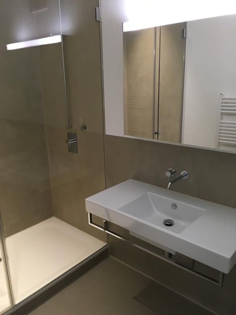 Bello appartamento loft cerca subaffittuario (4)