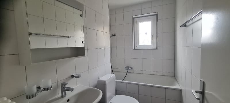 Appartamento bello in una buona posizione (8)
