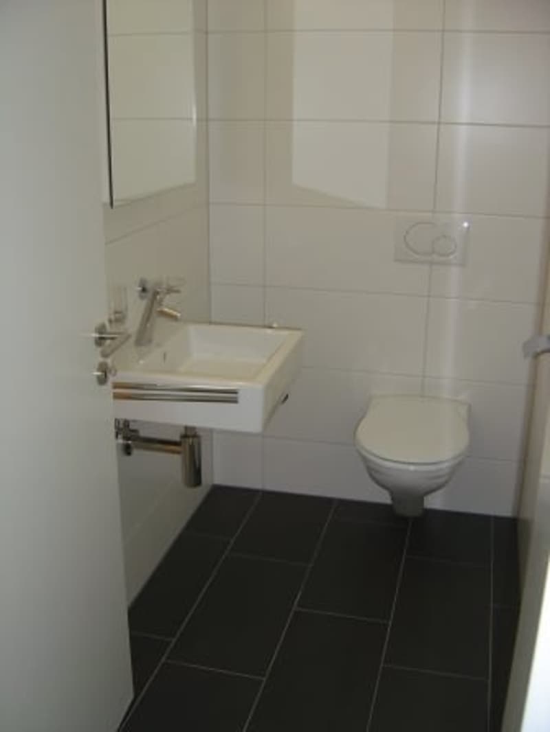 white sink, white toilet, white walls, white tiles, black tiles on floor