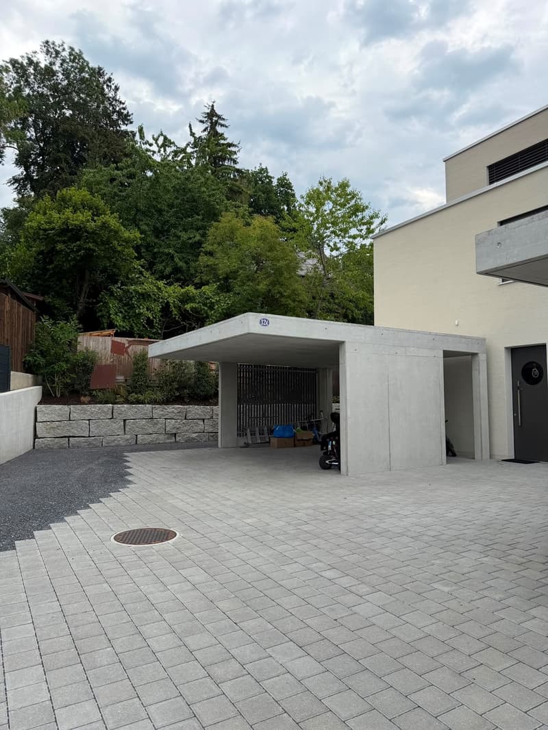 Maison mitoyenne moderne de 6 pièces à St. Gallen (6)