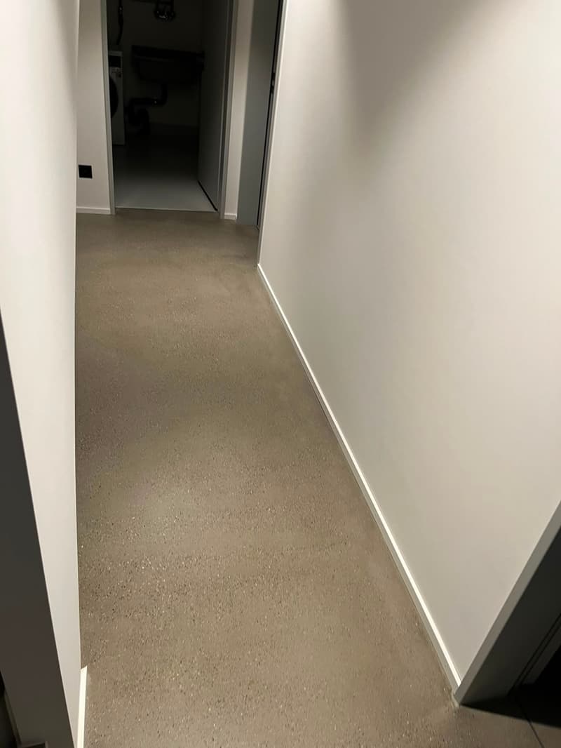 Maison mitoyenne moderne de 6 pièces à St. Gallen (14)