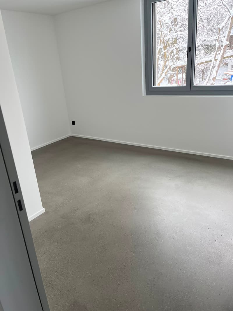 Maison mitoyenne moderne de 6 pièces à St. Gallen (15)