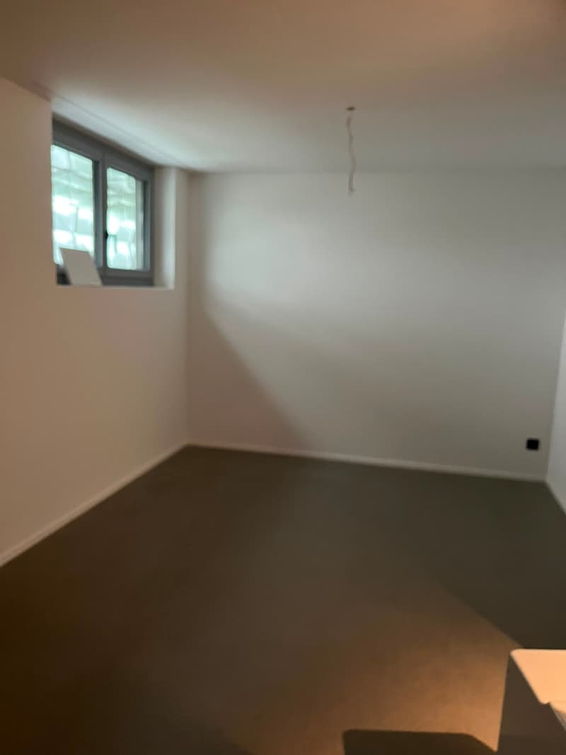 Maison mitoyenne moderne de 6 pièces à St. Gallen (17)