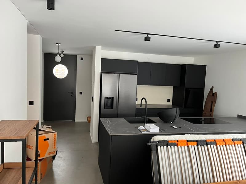 Maison mitoyenne moderne de 6 pièces à St. Gallen (7)