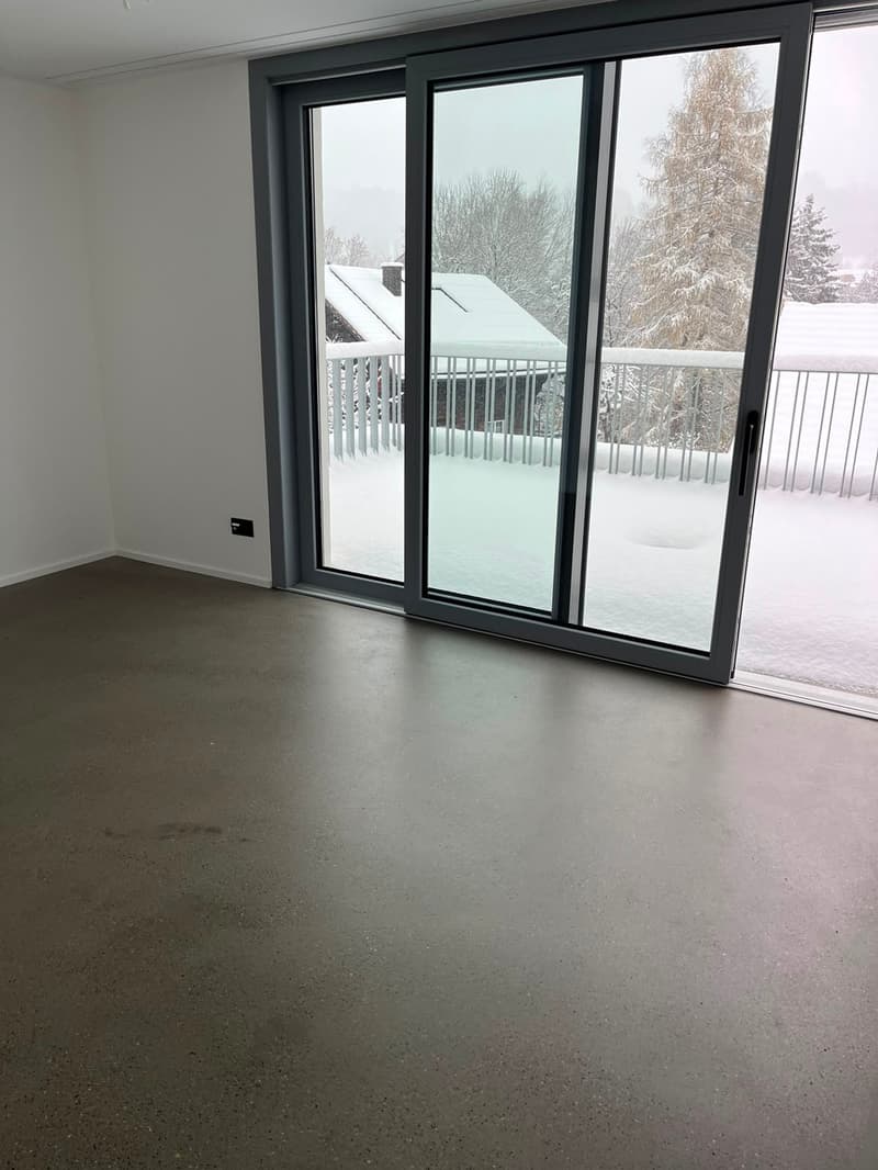 Maison mitoyenne moderne de 6 pièces à St. Gallen (10)