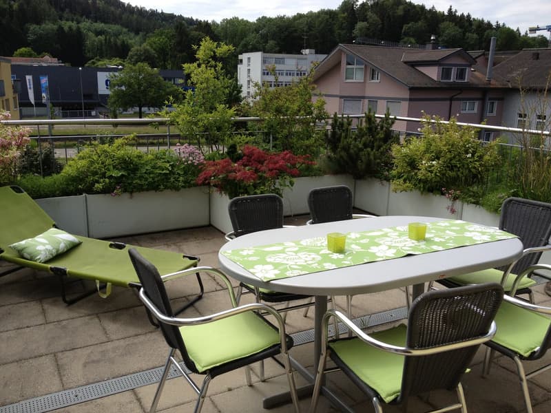 Charmante 4.5-Zimmer-Attika-Wohnung mit Aussicht in Winterthur Hegi (5)
