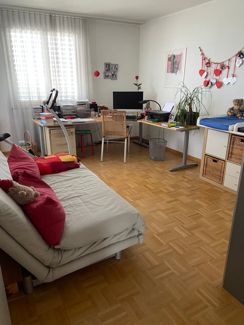 Charmante 4.5-Zimmer-Attika-Wohnung mit Aussicht in Winterthur Hegi (12)