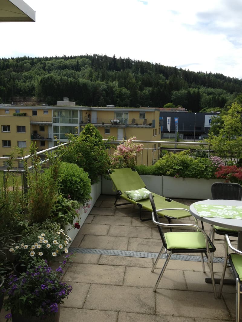 Charmante 4.5-Zimmer-Attika-Wohnung mit Aussicht in Winterthur Hegi (4)