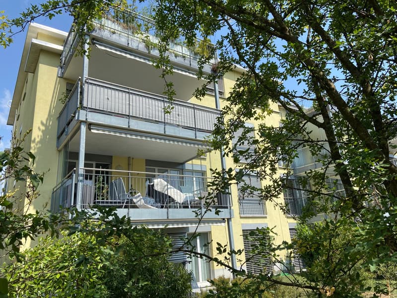 Charmante 4.5-Zimmer-Attika-Wohnung mit Aussicht in Winterthur Hegi (2)
