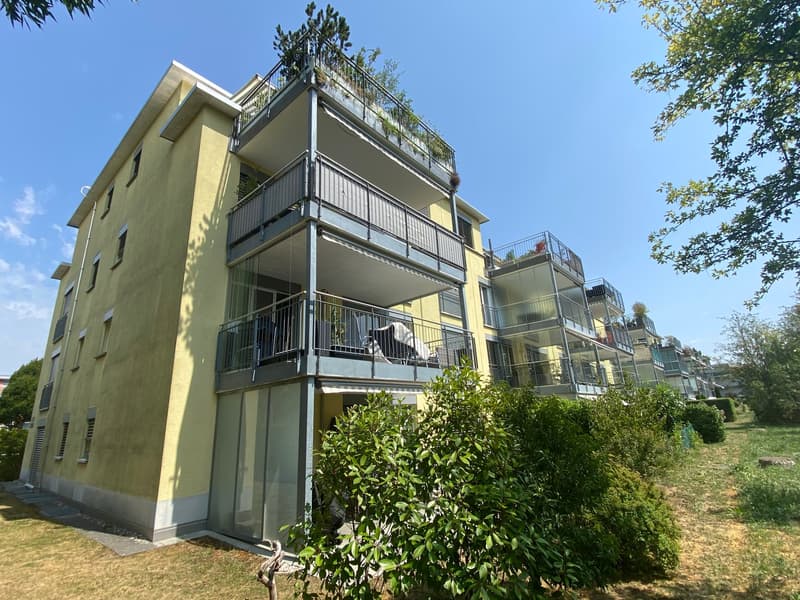 Charmante 4.5-Zimmer-Attika-Wohnung mit Aussicht in Winterthur Hegi (1)