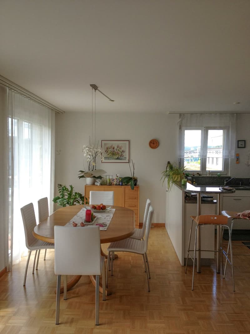 Charmante 4.5-Zimmer-Attika-Wohnung mit Aussicht in Winterthur Hegi (8)