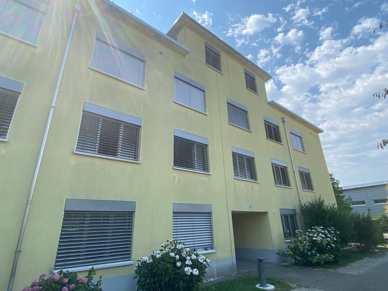 Charmante 4.5-Zimmer-Attika-Wohnung mit Aussicht in Winterthur Hegi (3)
