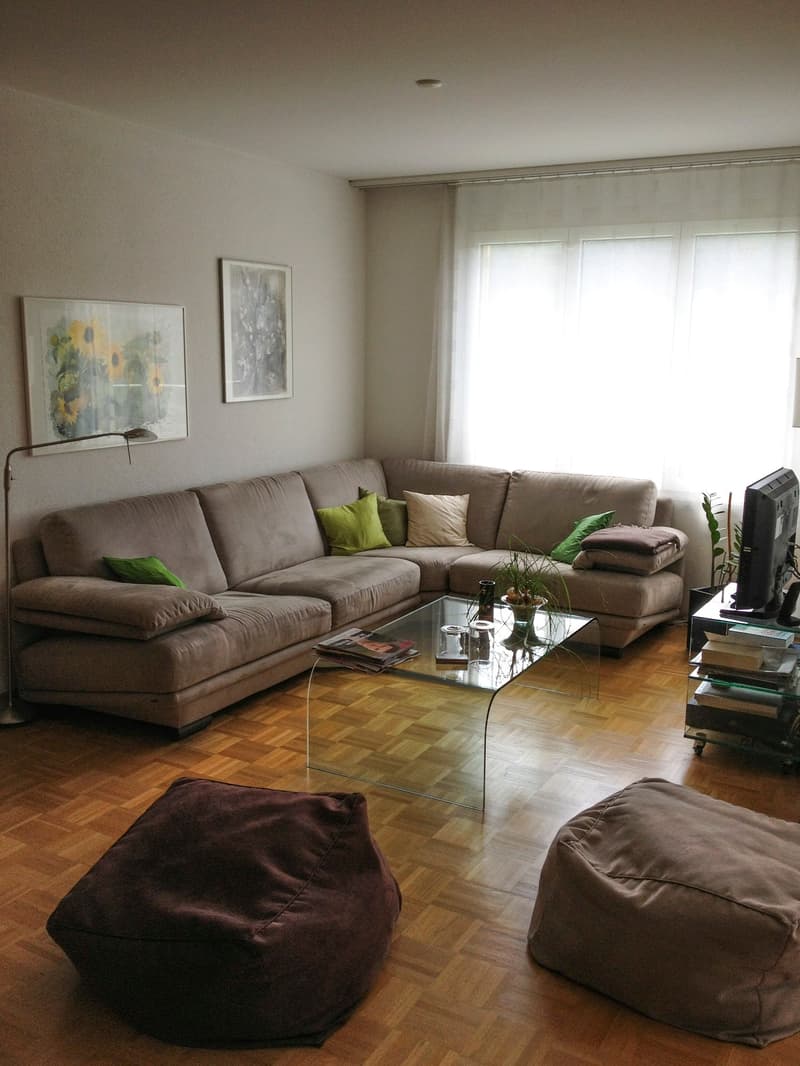 Charmante 4.5-Zimmer-Attika-Wohnung mit Aussicht in Winterthur Hegi (9)