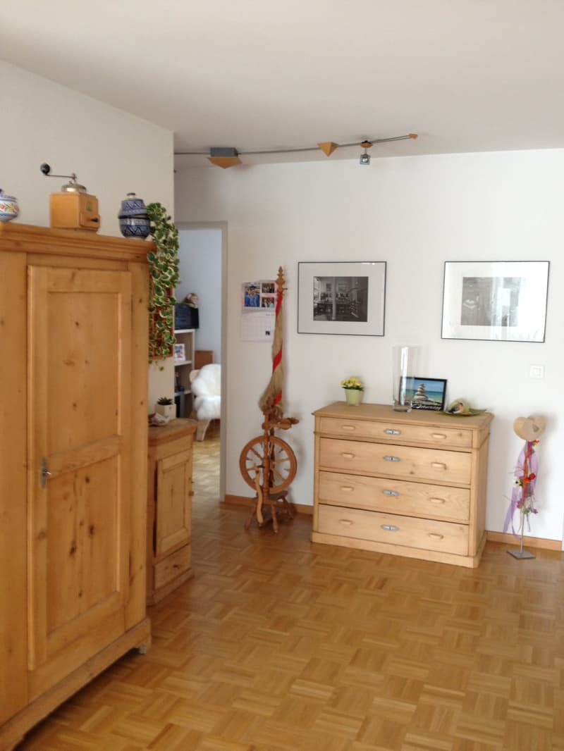Charmante 4.5-Zimmer-Attika-Wohnung mit Aussicht in Winterthur Hegi (11)