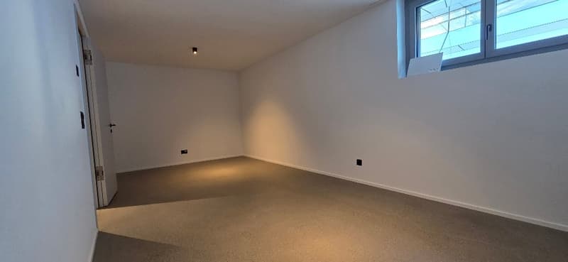 Modernes 6.5-Zimmer-Doppeleinfamilienhaus in St. Gallen (25)