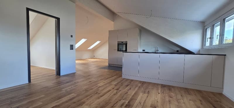 Erstvermietung Dachwohnungen in ruhigem Quartier (2)