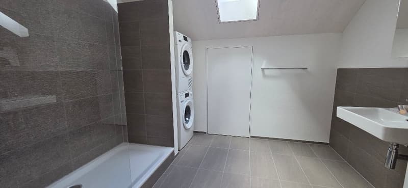 Erstvermietung Dachwohnungen in ruhigem Quartier (6)