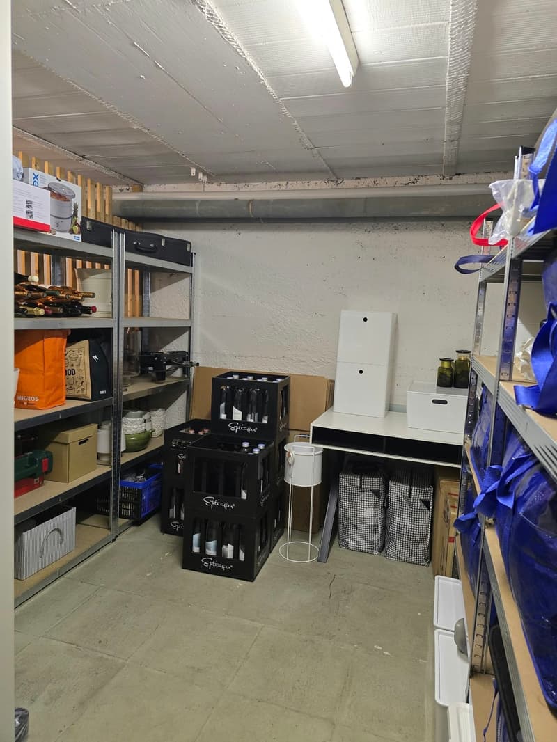 Charmante 3.5-Zimmer-Wohnung mit grosser Terrasse (13)