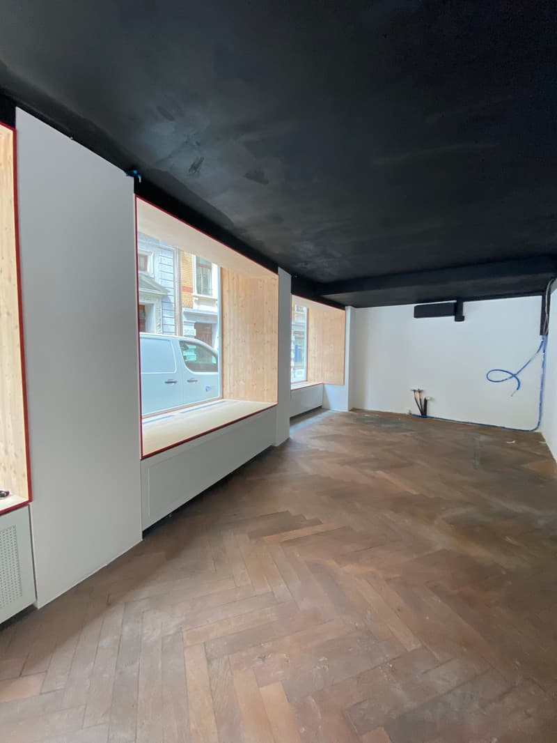 Attractive commercial space in a central location in Lucerne (10)