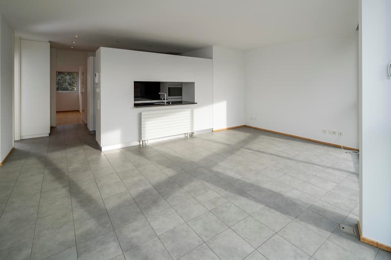 Soggiorno, sala pranzo e cucina