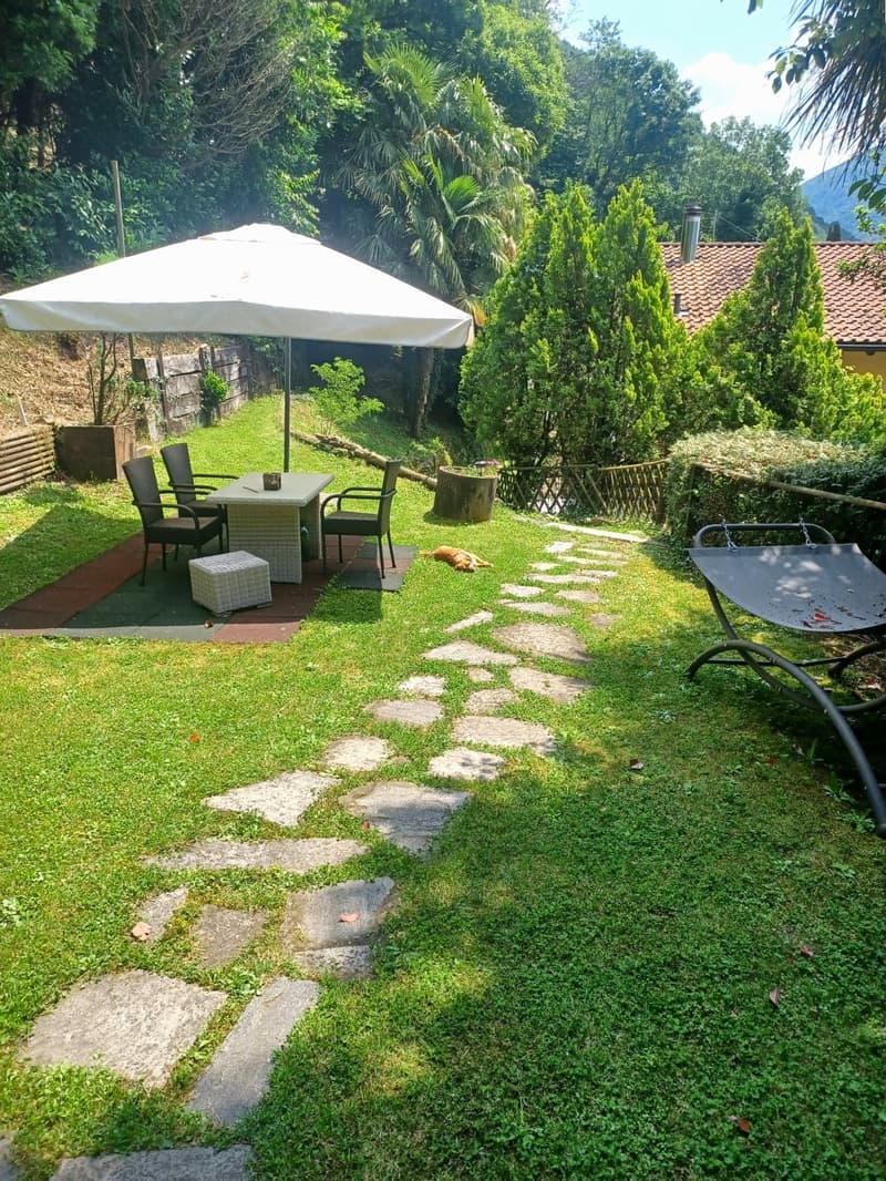 Lush, green backyard with a patio area featuring a white umbrella, wicker furniture, and a stone path leading through the grass. The yard is surrounded by tall trees and shrubs, creating a peaceful and secluded atmosphere.