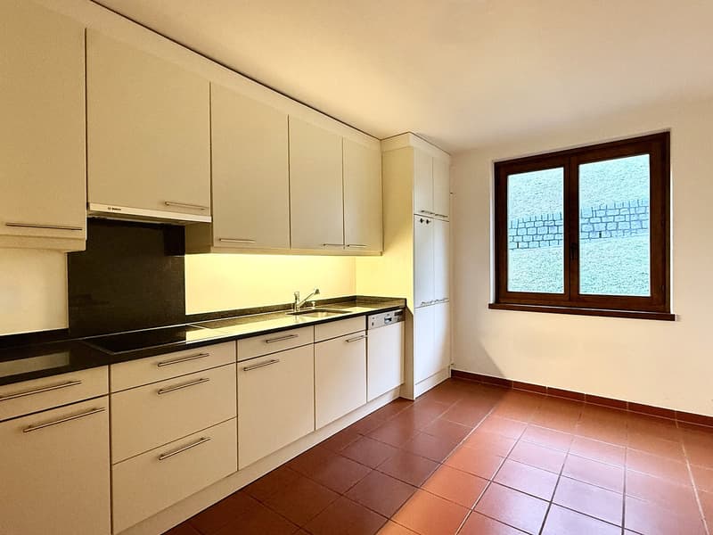 modern fitted kitchen, large sink, dishwasher, stovetop, cabinets, tiles, window